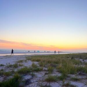 Meet your Posher, Pink